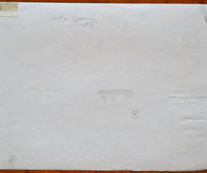 Disegno di Giovanna Sorlini_Retro
